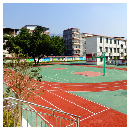 宁夏雷公坑小学复合型塑胶跑道